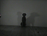 Ball Drop, William Wegman  American, Single-channel digital video, transferred from Panasonic 1/2-inch video tape, black-and-white, sound, 1 min., 34 sec.