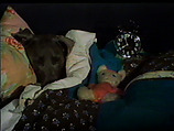 Alarm A, William Wegman American, Single-channel digital video, transferred from 3/4-inch U-matic video tape, color, sound, 35 sec.