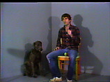 Dr. Joke, William Wegman American, Single-channel digital video, transferred from 3/4-inch U-matic video tape, color, sound, 2 min., 17 sec.