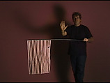 Crossing Guard, William Wegman American, Single-channel digital video, transferred from Sony MiniDV video tape, color, sound, 1 min., 39 sec.
