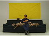 Late Night, William Wegman American, Single-channel digital video, transferred from Sony MiniDV video tape, color, sound, 7 min., 5 sec.