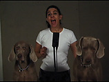 Okay, Go!, William Wegman  American, Single-channel digital video, transferred from Sony MiniDV video tape, color, sound, 12 sec.