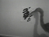 Crane Art, William Wegman American, Single-channel digital video, transferred from Sony CV 1/2-inch video tape, black-and-white, sound, 1 min., 2 sec.