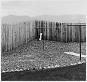 A Back Yard, Colorado Springs, Colorado, Robert Adams American, Gelatin silver print
