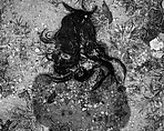 Lost Wig, Anastasia Samoylova  American, Inkjet print