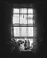 [Crystal Ball and Ferns on Window Ledge, West Cedar Street, Boston, Massachusetts], Walker Evans  American, Film negative