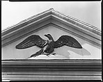 [Gilded Pediment Eagle, Charleston, South Carolina], Walker Evans  American, Film negative