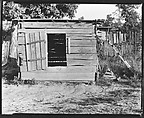 [Wooden Chicken Coop on Floyd Burroughs' Farm, Hale County, Alabama], Walker Evans  American, Film negative