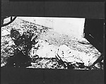 [Copy of Newspaper File Photograph: Decomposing Corpse in Blood-Spattered Courtyard, Probably Havana], Walker Evans  American, Film negative