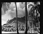 [South Seas: Mountains and Shoreline with Palm Trees in Foreground], Walker Evans (American, St. Louis, Missouri 1903–1975 New Haven, Connecticut), Film negative