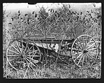 [Abandoned Wagon in Weeds, Somerstown Road, Ossining, New York], Walker Evans  American, Glass negative
