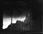 [South Seas: Palm Trees on Shoreline], Walker Evans (American, St. Louis, Missouri 1903–1975 New Haven, Connecticut), Film negative