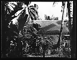 [South Seas: Thatched Roof House Behind Foliage], Walker Evans (American, St. Louis, Missouri 1903–1975 New Haven, Connecticut), Film negative