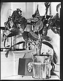 [Interior Detail of Cactus Plant and Family Photographs in De Luze House, Truro, Massachusetts], Walker Evans (American, St. Louis, Missouri 1903–1975 New Haven, Connecticut), Film negative