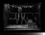 [Poultry Shop Window Display, New York City?], Walker Evans  American, Film negative