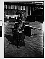[Seated Woman with Cats on Roof, New York City (?)], Walker Evans  American, Film negative