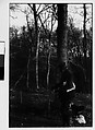 [Four 35mm Film Frames: Elderly Man in Woods Carrying Newspaper with Dog on Leash], Walker Evans (American, St. Louis, Missouri 1903–1975 New Haven, Connecticut), Film negative