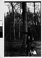 [Four 35mm Film Frames: Elderly Man in Woods Carrying Newspaper with Dog on Leash], Walker Evans (American, St. Louis, Missouri 1903–1975 New Haven, Connecticut), Film negative