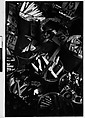 [Three 35mm Film Frames: Hardware Store Display of Paintbrushes in Buckets, Brooklyn, New York], Walker Evans (American, St. Louis, Missouri 1903–1975 New Haven, Connecticut), Film negative