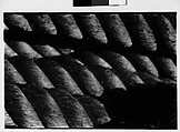 [One 35mm Film Frame: Rope], Walker Evans (American, St. Louis, Missouri 1903–1975 New Haven, Connecticut), Film negative