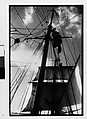 [Three 35mm Film Frames: South Seas: Cressida Sails, Mast, and Rigging], Walker Evans (American, St. Louis, Missouri 1903–1975 New Haven, Connecticut), Film negative