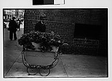 [Two 35mm Film Frames: Vendor with Flowers in Baby Carriage on Sidewalk], Walker Evans (American, St. Louis, Missouri 1903–1975 New Haven, Connecticut), Film negative