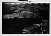 [Five 35mm Film Frames: Aerial View of Alabama], Walker Evans (American, St. Louis, Missouri 1903–1975 New Haven, Connecticut), Film negative