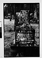 [Five 35mm Film Frames: Gravestones, Georgia], Walker Evans (American, St. Louis, Missouri 1903–1975 New Haven, Connecticut), Film negative