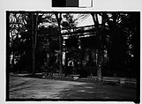 [Greek Revival House with Full Facade Porch, Through Trees, Savannah, Georgia], Walker Evans  American, Film negative