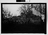 [Brick Slave Cabins, Savannah Vicinity, Georgia], Walker Evans  American, Film negative