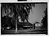 [Ormond Plantation House, St. Charles Parish, Louisiana], Walker Evans  American, Film negative