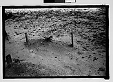 [Thirty-Five 35mm Film Frames on Uncut Roll: Graves and Gravestones, Alabama], Walker Evans (American, St. Louis, Missouri 1903–1975 New Haven, Connecticut), Film negative