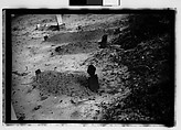 [Thirty-Six 35mm Film Frames on Uncut Roll: Graves and Gravestones, Alabama], Walker Evans (American, St. Louis, Missouri 1903–1975 New Haven, Connecticut), Film negative