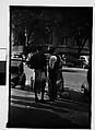 [Thirty-One 35mm Film Frames on Uncut Roll of People on Street, Including 3 of A Tintype Photographer at Work, Tallahassee, Florida], Walker Evans (American, St. Louis, Missouri 1903–1975 New Haven, Connecticut), Film negative