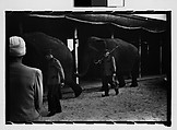 Walker Evans | [Twenty-Nine 35mm Film Frames on Uncut Roll: Ringling ...