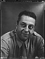 [Lieutenant Colonel Alexander Henderson], Walker Evans  American, Film negative