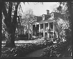 [Brick Greek Revival House with Ivy on Columns, Residence of Weeks Hall, New Iberia, Louisiana], Walker Evans  American, Film negative