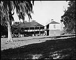 [Ormond Plantation, St. Charles Parish, Louisiana], Walker Evans  American, Film negative