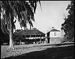 [Ormond Plantation, St. Charles Parish, Louisiana], Walker Evans  American, Film negative