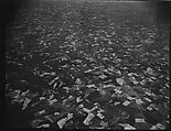 [View from Plane, Southeastern U.S.], Walker Evans  American, Film negative