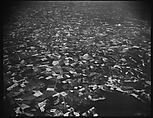 [View from Plane, Southeastern U.S.], Walker Evans  American, Film negative