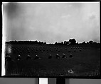[Bales of Hay in Field, Near Chicago?], Walker Evans  American, Film negative