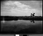 [Coastal Landscape, Florida], Walker Evans  American, Film negative