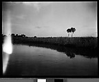 [Coastal Landscape, Florida], Walker Evans  American, Film negative