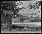 [Wooden Building and Fields on Estate of Suzette Morton Hamill, Lake Forest, Illinois], Walker Evans  American, Film negative