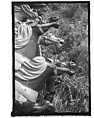 [Twenty-Two 35mm Film Frames on Uncut Roll: 21 Studies of Dismounted Carousel Horses in Field, and 1 View of Parked Automobile in Front of Roadside Building], Walker Evans (American, St. Louis, Missouri 1903–1975 New Haven, Connecticut), Film negative
