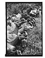 [Twenty-Two 35mm Film Frames on Uncut Roll: 21 Studies of Dismounted Carousel Horses in Field, and 1 View of Parked Automobile in Front of Roadside Building], Walker Evans (American, St. Louis, Missouri 1903–1975 New Haven, Connecticut), Film negative
