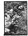 [Twenty-Two 35mm Film Frames on Uncut Roll: 21 Studies of Dismounted Carousel Horses in Field, and 1 View of Parked Automobile in Front of Roadside Building], Walker Evans (American, St. Louis, Missouri 1903–1975 New Haven, Connecticut), Film negative