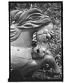 [Twenty-Two 35mm Film Frames on Uncut Roll: 21 Studies of Dismounted Carousel Horses in Field, and 1 View of Parked Automobile in Front of Roadside Building], Walker Evans (American, St. Louis, Missouri 1903–1975 New Haven, Connecticut), Film negative