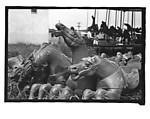 [Twenty-Two 35mm Film Frames on Uncut Roll: 21 Studies of Dismounted Carousel Horses in Field, and 1 View of Parked Automobile in Front of Roadside Building], Walker Evans (American, St. Louis, Missouri 1903–1975 New Haven, Connecticut), Film negative